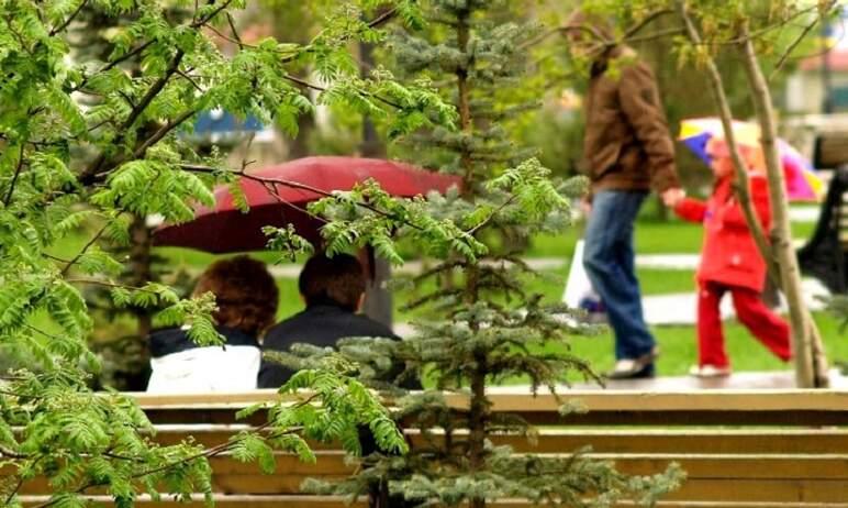 Фото В Верхнем Уфалее за сутки выпало 40% месячной нормы осадков
