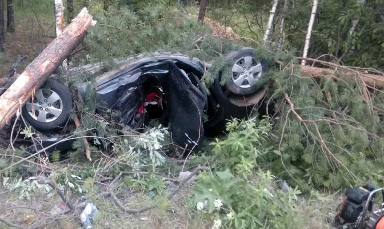 Фото В Челябинской области в жутком ДТП погибли двое 