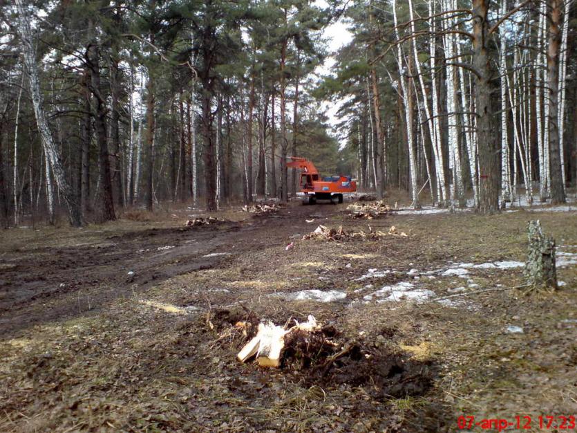 Фото В Управлении лесами Челябинской области объяснили, зачем будут рубить деревья на 2,5 гектара городского бора
