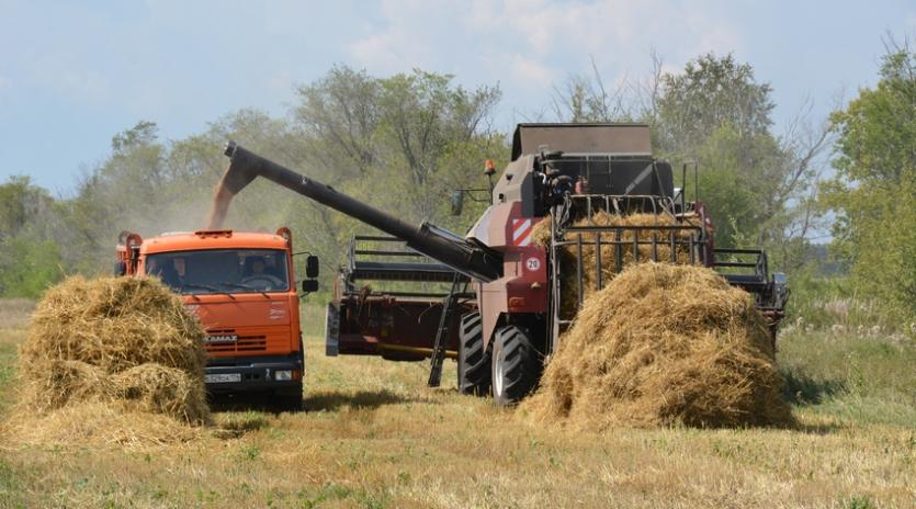 Фото Сушков: Несмотря на сюрпризы погоды, аграрии Челябинской области собрали рекордный за последние четверть века урожай