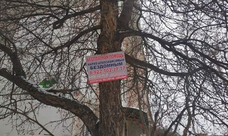 Фото Челябинцы просят Наталью Котову убрать рекламу с деревьев