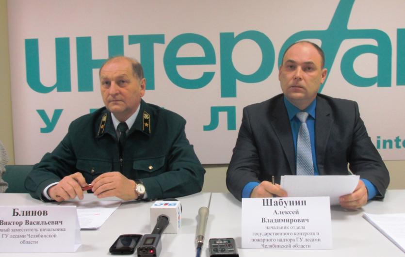 Фото «Легальная» пихта в Челябинске будет стоить от 400 до 2 тысяч рублей, нелегальная – от 3 до 10 тысяч