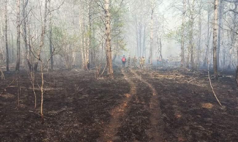 Фото Пожар в нацпарке «Зигальга» локализован, осталось справиться с двумя очагами тления