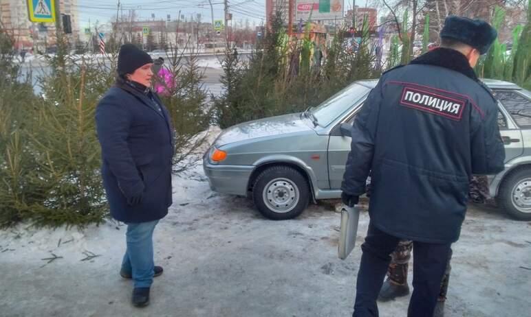 Фото В Челябинске продолжает процветать незаконная торговля елками