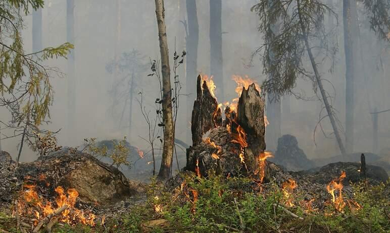 Фото Циклон ослабит напряженность пожароопасной ситуации на Урале