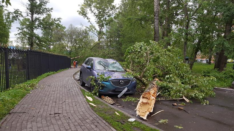 Фото Число жертв урагана в Московской области выросло до 16