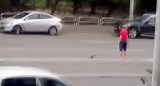 Фото В Челябинске водитель дорогой иномарки спас голубя, сидевшего на дороге