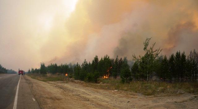 Фото В Челябинской области сохраняется высокая вероятность лесных пожаров