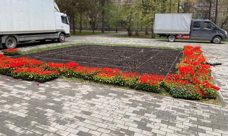 Фото Петуния и тагетес, сальвия и цинерария: центр Челябинска расцветает 