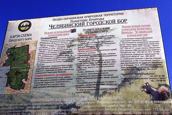 Фото «Служба кладбищ», хоронившая усопших в Челябинском бору, выплатила 1,2 миллиона