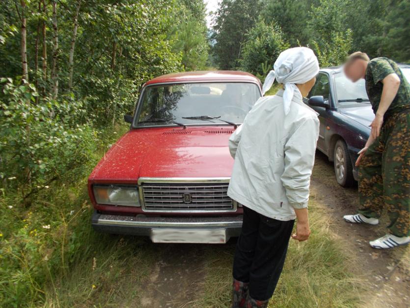 Фото Национальный парк «Таганай» подвергся нашествию грибников-автомобилистов