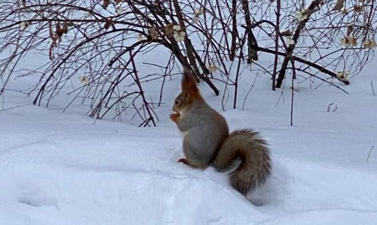 Фото Анонсы событий и мероприятий на 17 февраля