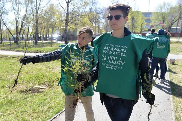 Фото Вместо одной исчезнувшей: в Челябинске появились две аллеи редких даурских лиственниц