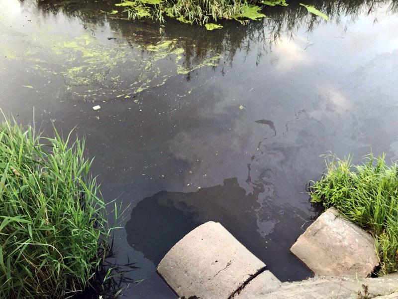 Фото Эко-активисты выявили загрязнение  нефтепродуктами реки Миасс в Челябинске