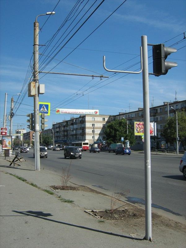 Фото В Челябинске неутешительные итоги «зеленой революции» списали на аномальную жару