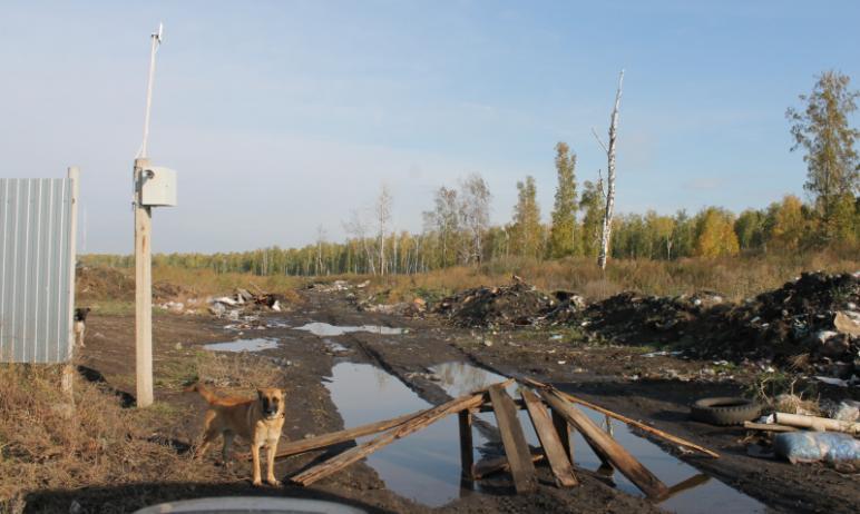 Фото Чиновники Красноармейского района будут объяснять в суде свое нежелание помогать людям