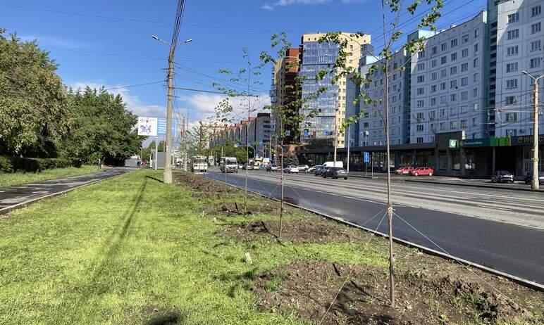 Фото Общественники пожалуются на «запоровших» озеленение Комсомольского проспекта лиц в прокуратуру