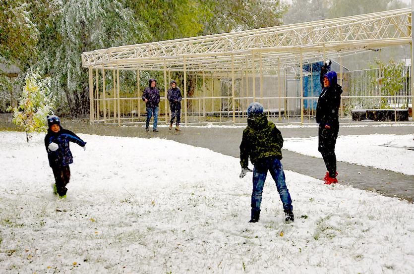 Фото В Челябинской области установился снежный покров. Надолго ли?