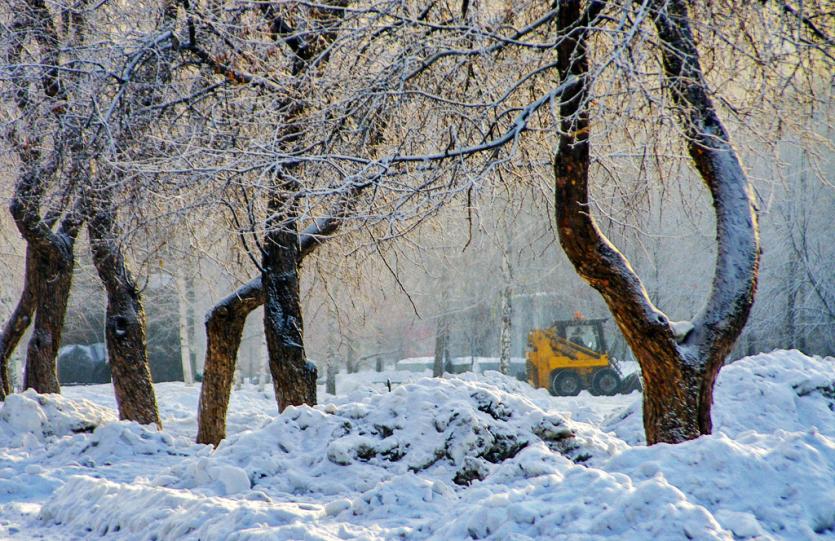 Фото В четверг в Челябинской области мокрый снег, местами метели