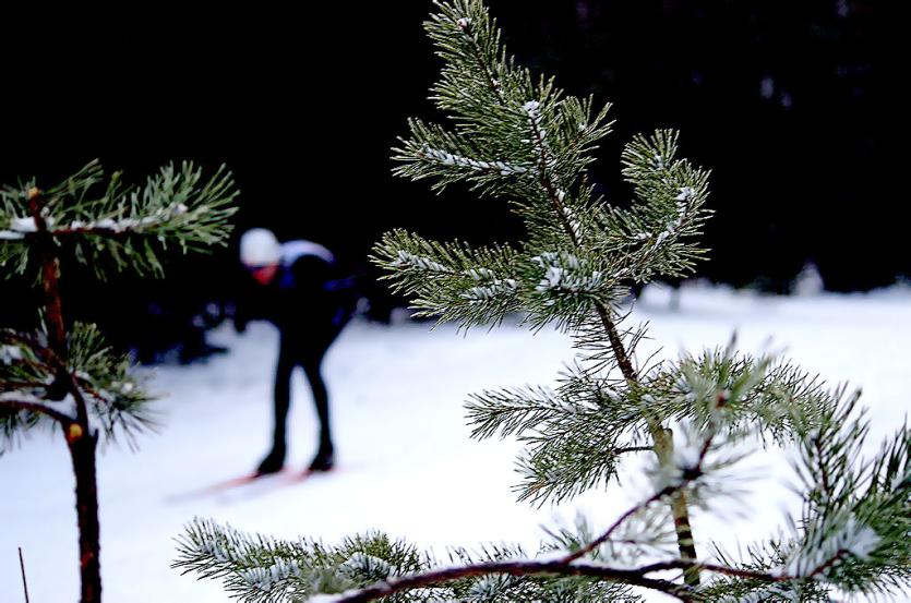 Фото В среду в Челябинской области сохранится морозная погода