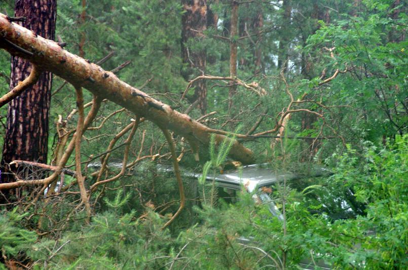 Фото Москва приходит в себя после урагана: 9 пострадавших, поваленные деревья и поврежденные машины