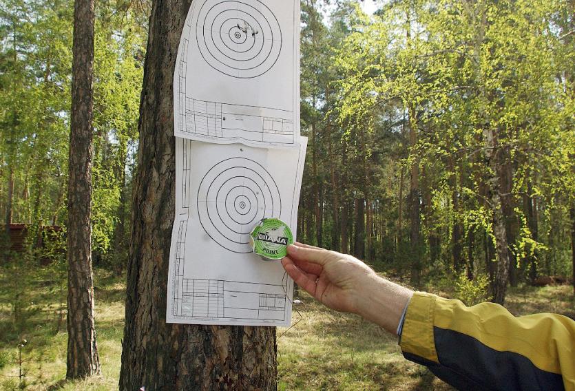 Фото Прокуратура Еманжелинка обязала мэрию города снять рекламные таблички с деревьев и заделать дыры от саморезов