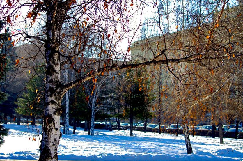 Фото  В пятницу в Челябинской области небольшой мороз и местами снег