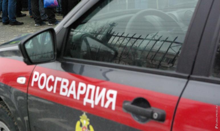 Фото В Челябинске полиция проверяет инцидент с пистолетом у школьницы 