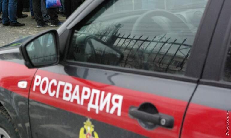 Фото В Челябинске сотрудники Росгвардии задержали эксгибициониста