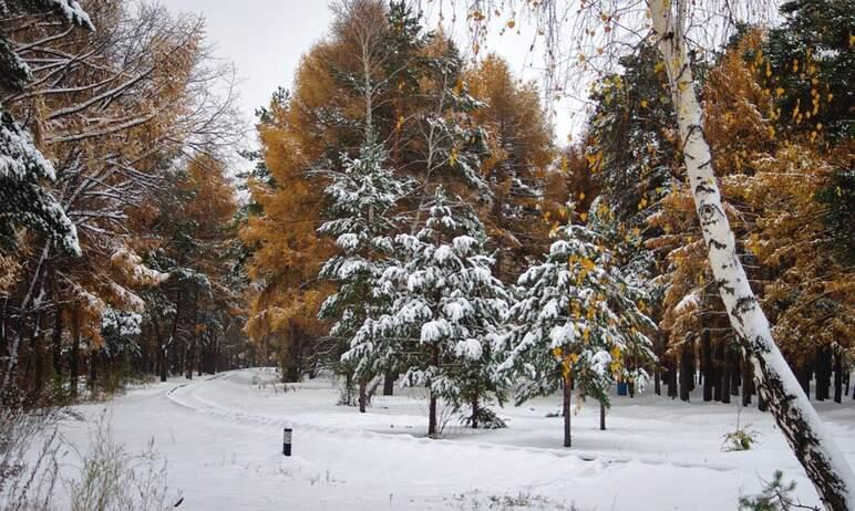 Фото В четверг в Челябинске без осадков, по области - местами мокрый снег