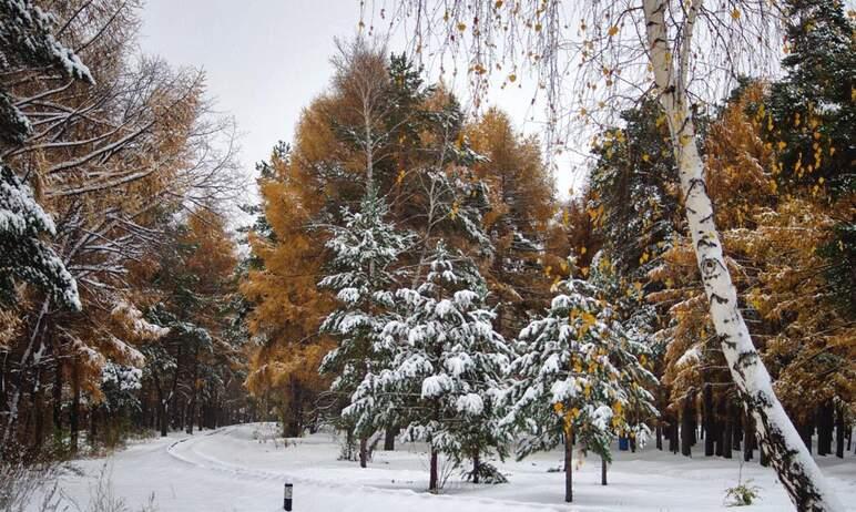 Фото В выходные в Челябинской области днем местами будут плюсовые температуры