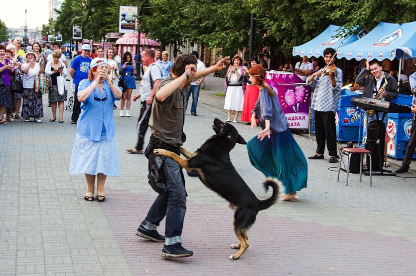 Фото В Челябинске состоится благотворительный забег собак в память о верном Хатико