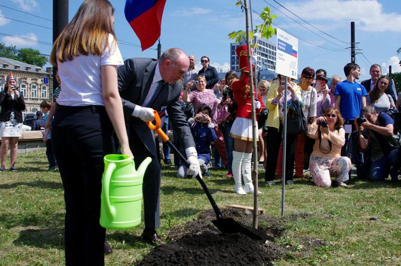 Фото В Челябинске отказались от молодых саженцев