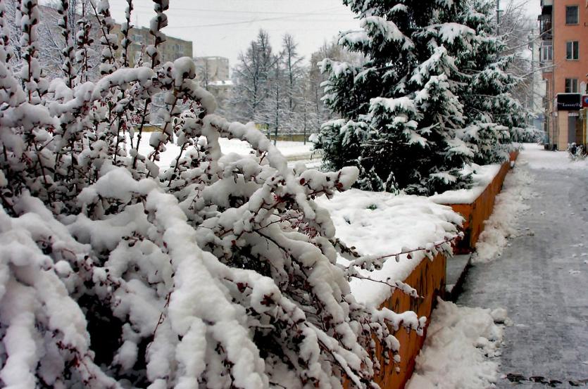Фото На Матрёну Зимнюю в Челябинской области снег и метели