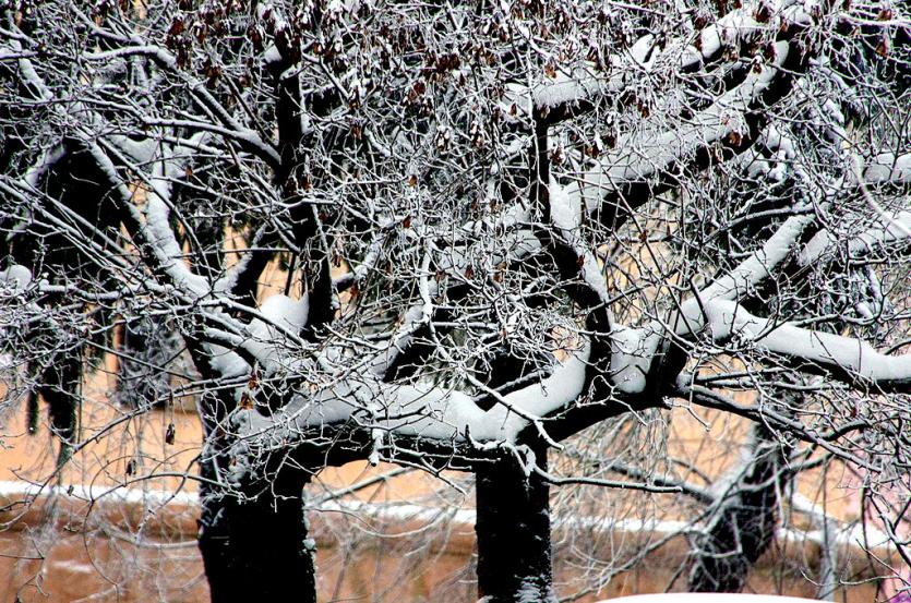 Фото В четверг в Челябинской области плюс и снег