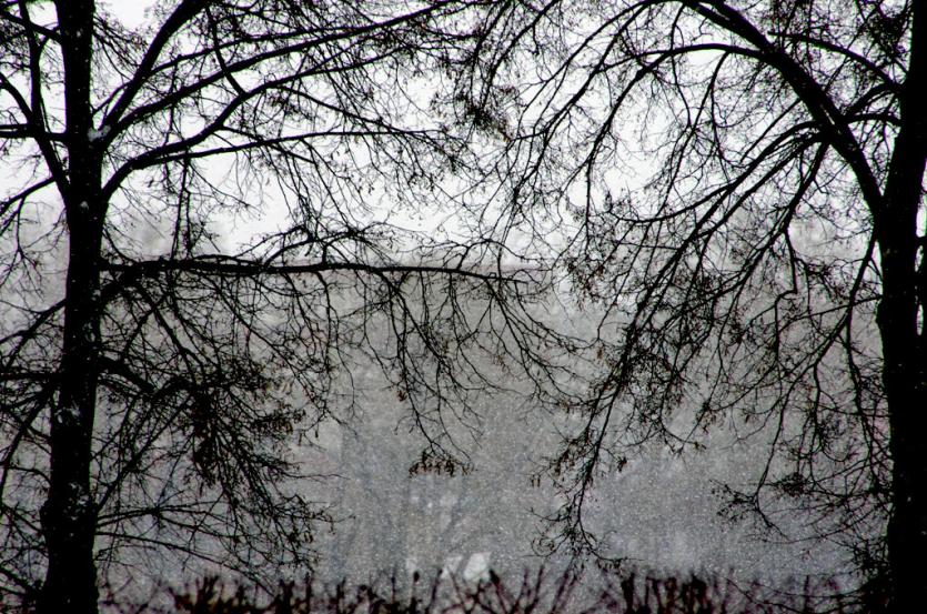 Фото Понедельник в Челябинской области ветреный и с небольшим снегом