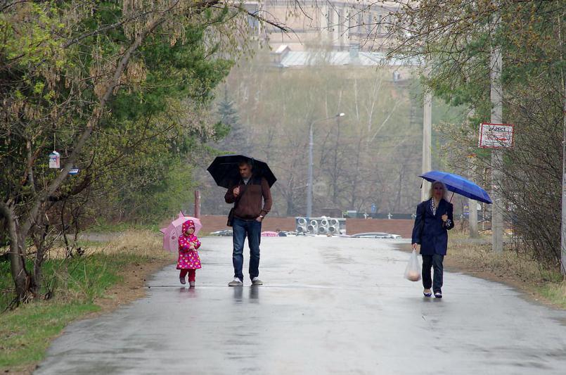 Фото В Челябинской области тепло, небольшие дожди