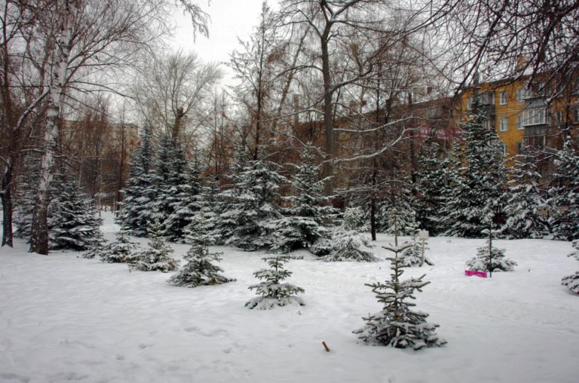Фото В Рождество в Челябинской области вновь объявлены НМУ