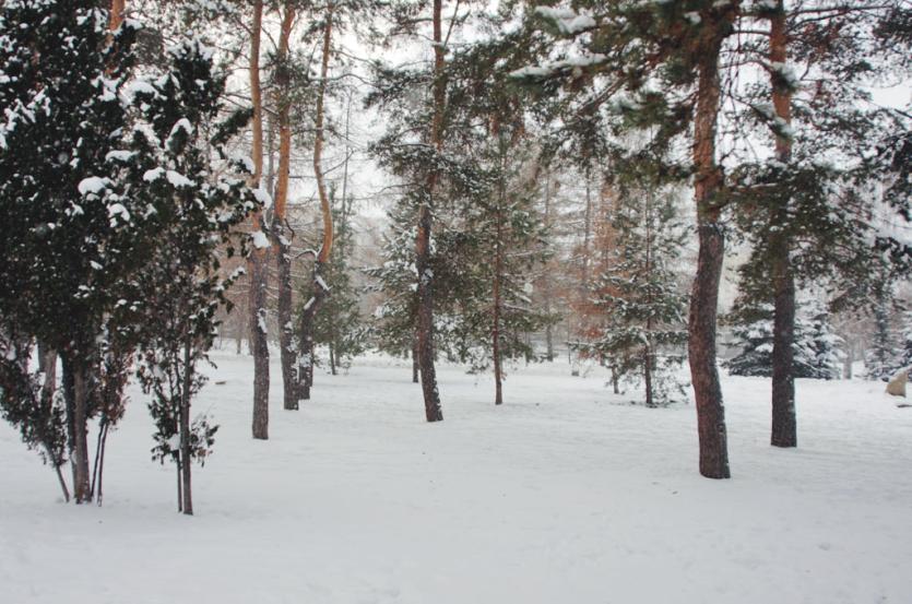 Фото Челябинская область встретит Рождество снегом и метелью