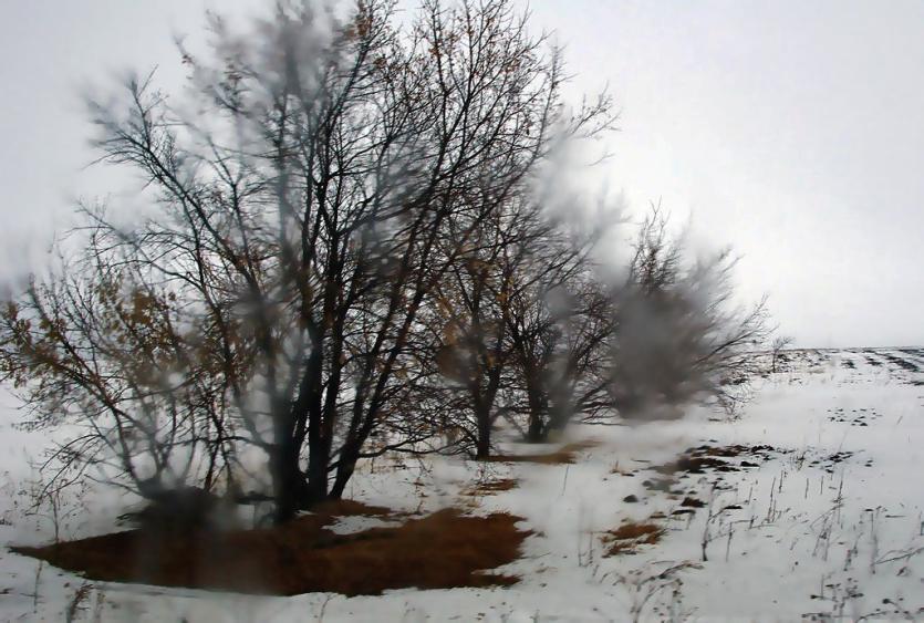 Фото В Челябинской области в понедельник тепло, небольшой снег