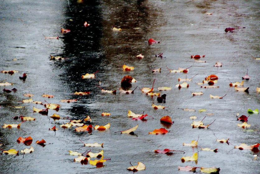 Фото В выходные в Челябинской области будет пасмурно и сыро