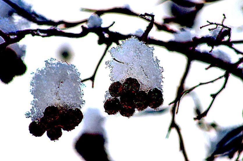 Фото Сочельник и Рождество в Челябинской области будут морозным и солнечными