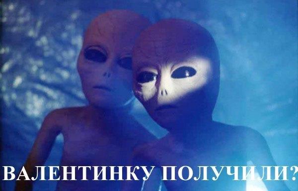 Фото «Ничего так не бодрит, как с утра метеорит»: падение небесного тела стимулировало творческие способности челябинцев