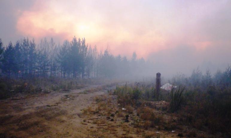 Фото Текслер направил на юг Челябинской области Голицына для координации работы по тушению лесных пожаров