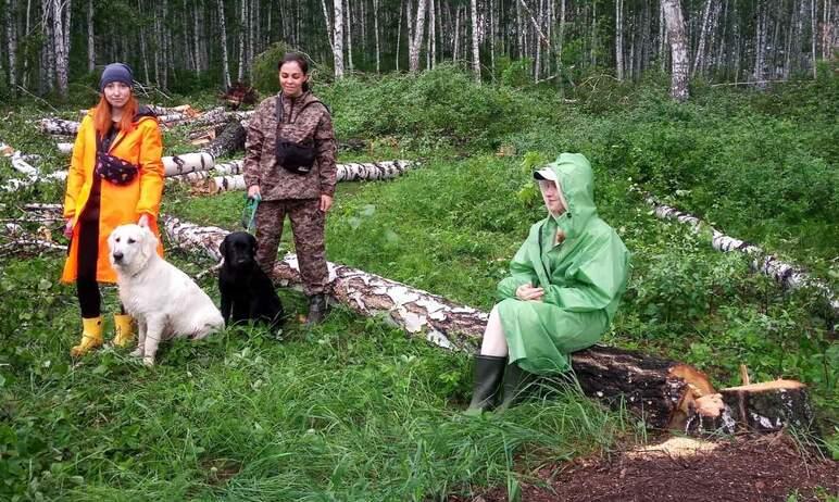 Фото Начальник челябинской полиции прибыл на место вырубки леса на Тополинке: жителей убедили убрать палатки