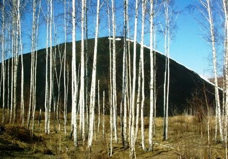 Фото В Челябинской области без вести пропавшие мужчина и женщина найдены мертвыми