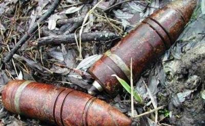 Фото В Сосновском районе в лесу обнаружили тайник с боеприпасами