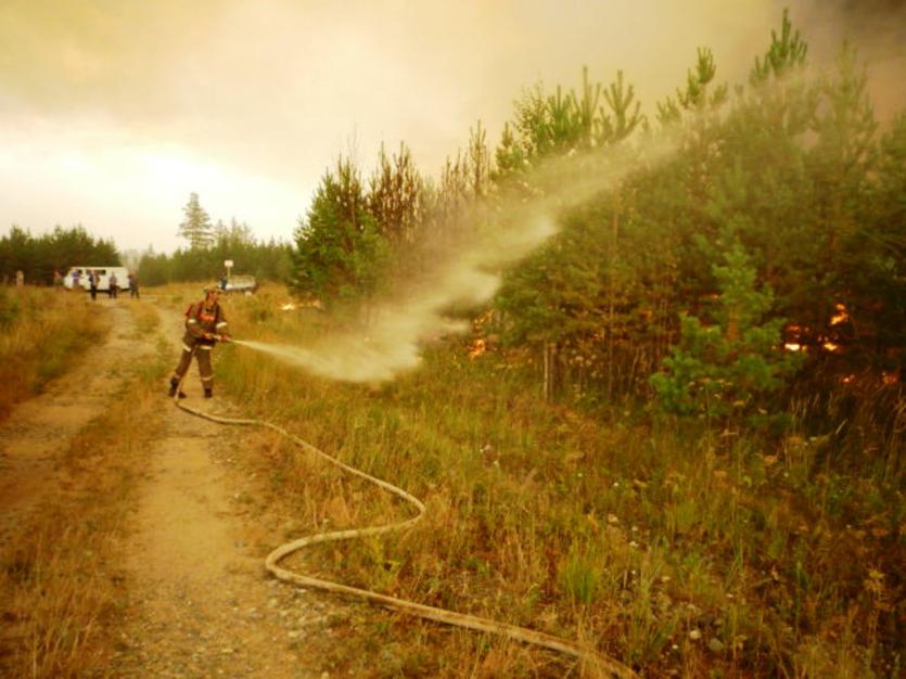 Фото Высокая пожарная опасность сохраняется в некоторых районах Челябинской области