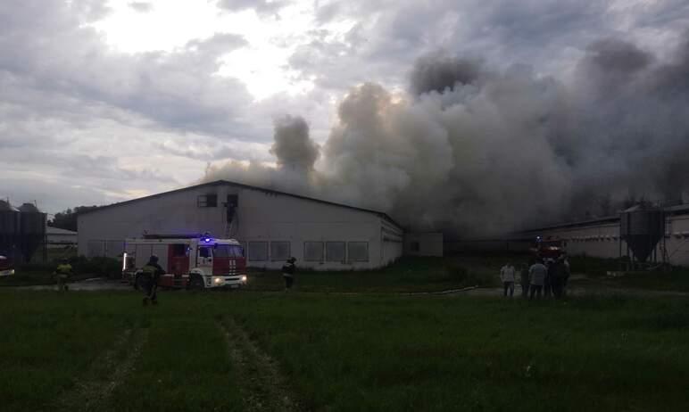 Фото На птицефабрике под Челябинском случился большой пожар