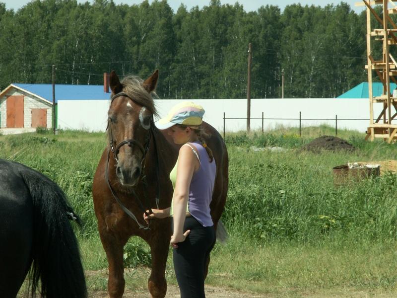 Фото Российско-казахстанскую границу  нарушили… лошади